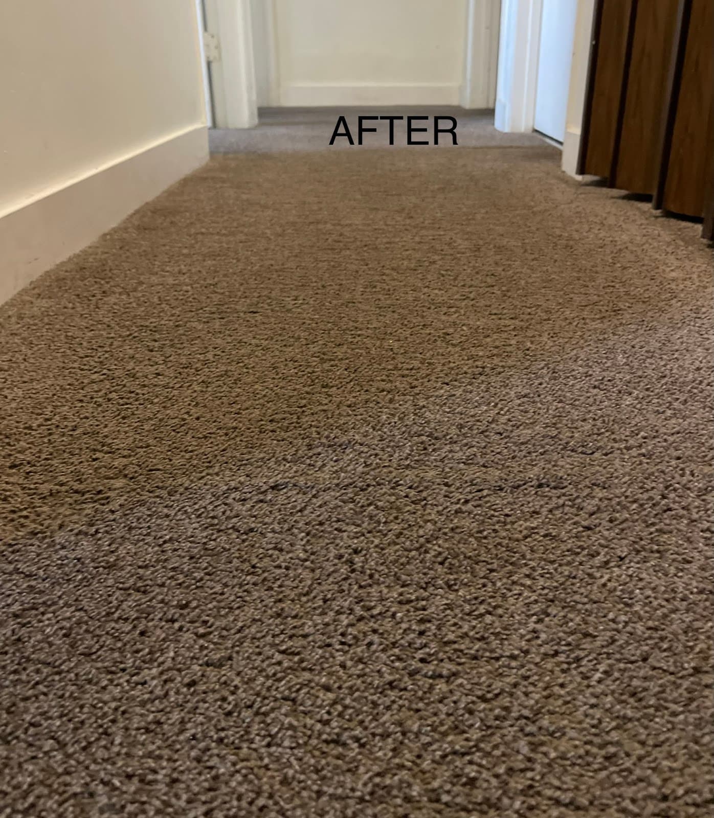 Holy Henny Cleaning Services LTD